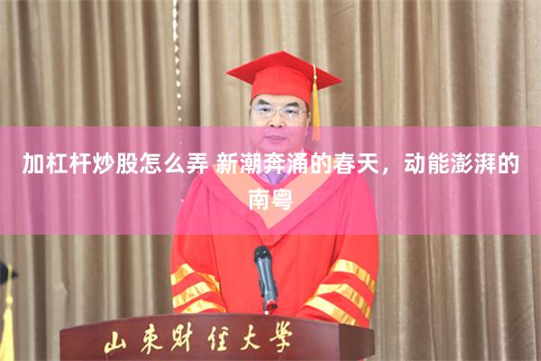 加杠杆炒股怎么弄 新潮奔涌的春天，动能澎湃的南粤
