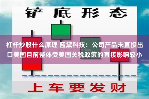 杠杆炒股什么原理 蓝黛科技：公司产品未直接出口美国目前整体受美国关税政策的直接影响较小