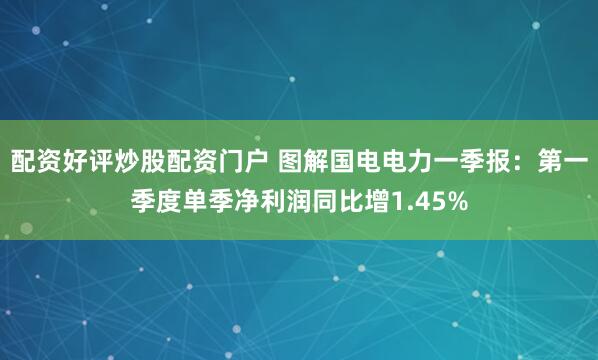 配资好评炒股配资门户 图解国电电力一季报：第一季度单季净利润同比增1.45%