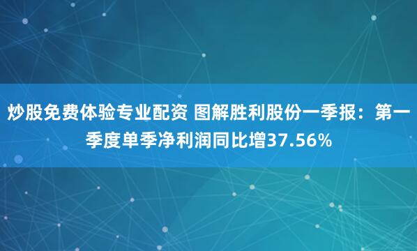 炒股免费体验专业配资 图解胜利股份一季报：第一季度单季净利润同比增37.56%