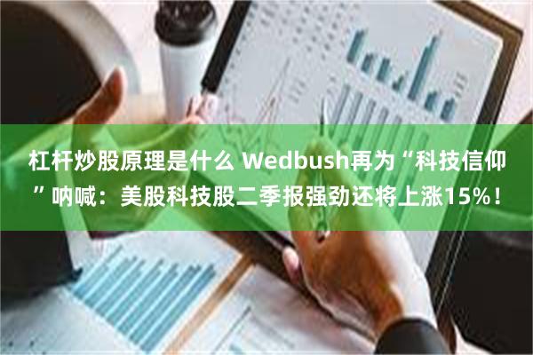 杠杆炒股原理是什么 Wedbush再为“科技信仰”呐喊：美股科技股二季报强劲还将上涨15%！