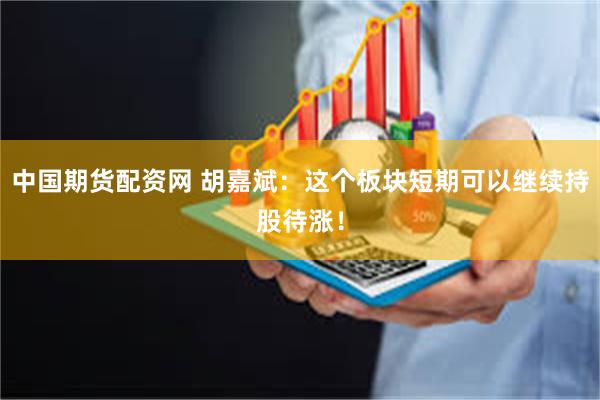 中国期货配资网 胡嘉斌:这个板块短期可以继续持股待涨!