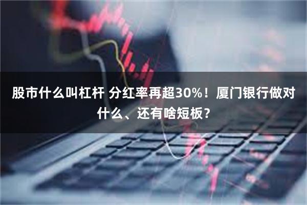 股市什么叫杠杆 分红率再超30%！厦门银行做对什么、还有啥短板？